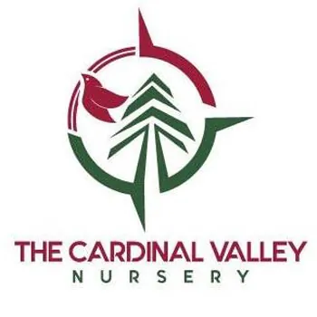 The Cardinal Valley Nursery logo